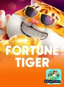 Qualidade e Segurança em Cada Jogo